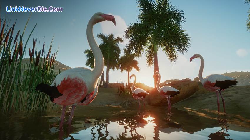 Hình ảnh trong game Planet Zoo (screenshot)