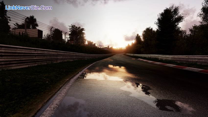 Hình ảnh trong game Project Cars Game of the Year Edition (screenshot)