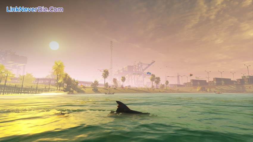 Hình ảnh trong game Maneater (screenshot)