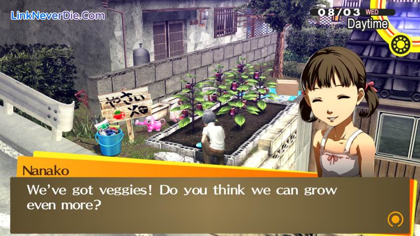 Hình ảnh trong game Persona 4 Golden (screenshot)