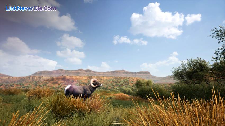 Hình ảnh trong game Hunting Simulator 2 (screenshot)