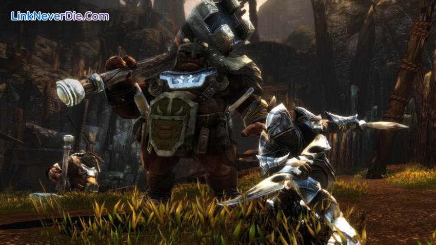 Hình ảnh trong game Kingdoms of Amalur: Re-Reckoning (screenshot)