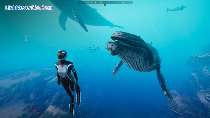 Hình ảnh trong game Beyond Blue (screenshot)