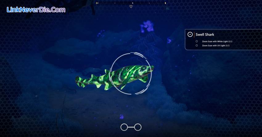 Hình ảnh trong game Beyond Blue (screenshot)