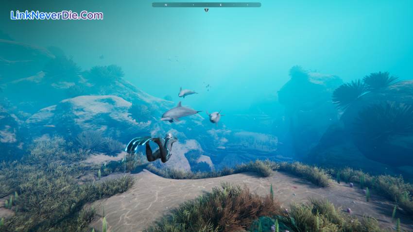 Hình ảnh trong game Beyond Blue (screenshot)