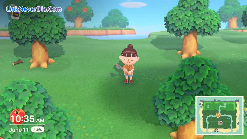 Hình ảnh trong game Animal Crossing: New Horizons (screenshot)