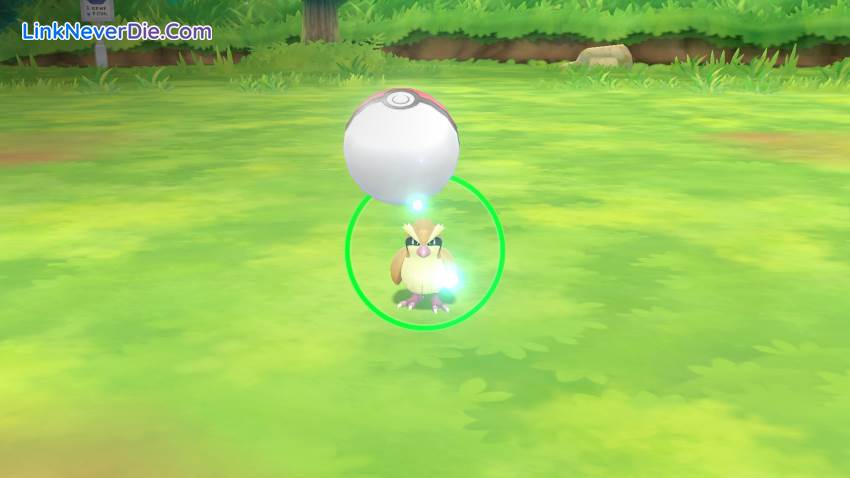 Hình ảnh trong game Pokemon: Let’s Go, Pikachu and Eevee! (screenshot)