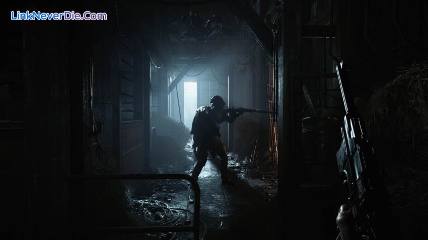 Hình ảnh trong game Hunt: Showdown (screenshot)