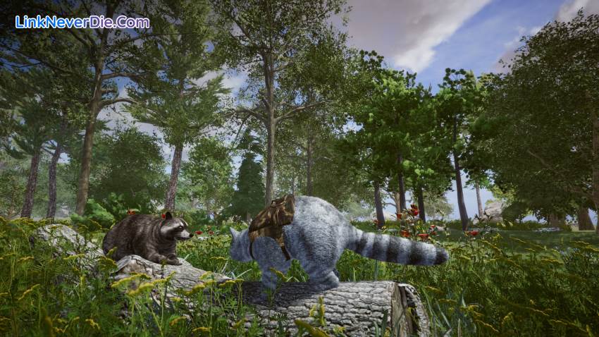 Hình ảnh trong game Wanted Raccoon (screenshot)