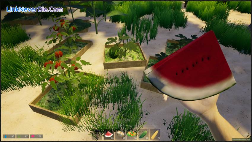 Hình ảnh trong game My Island (screenshot)