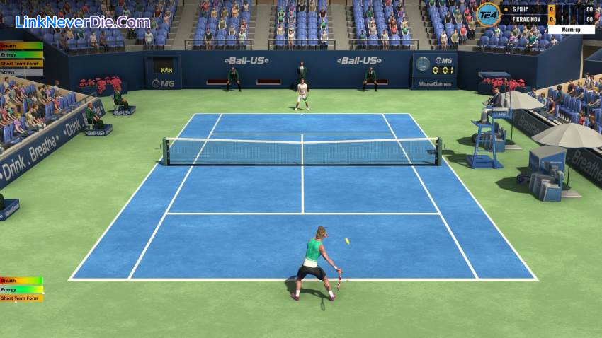 Hình ảnh trong game Tennis Elbow 4 (screenshot)