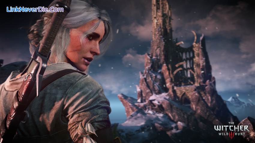 Hình ảnh trong game The Witcher 3: Wild Hunt (screenshot)