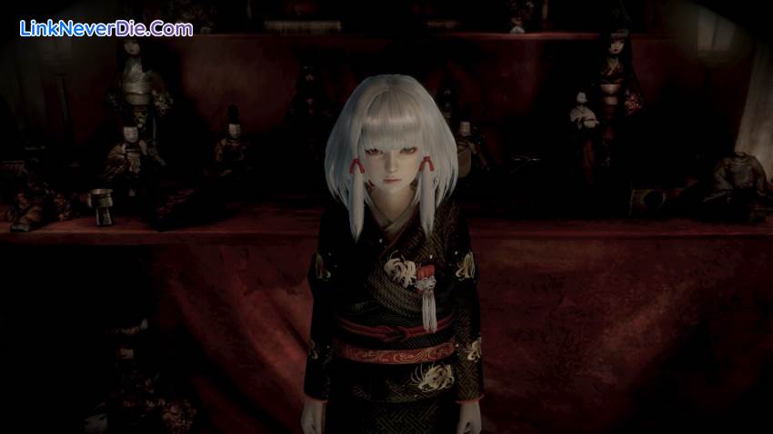 Hình ảnh trong game FATAL FRAME / PROJECT ZERO: Maiden of Black Water (screenshot)