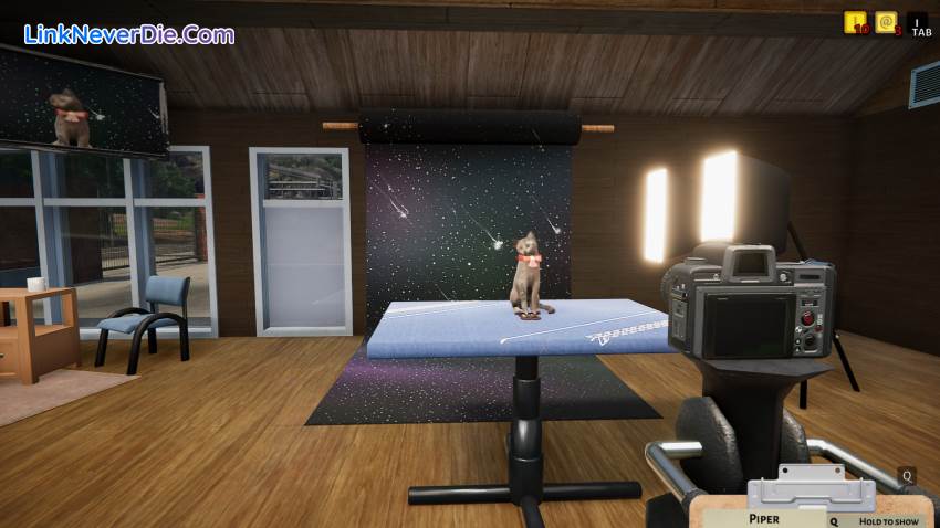 Hình ảnh trong game Animal Shelter (screenshot)