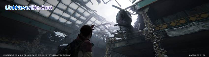 Hình ảnh trong game The Last of Us (screenshot)