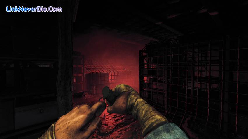 Hình ảnh trong game Amnesia: The Bunker (screenshot)