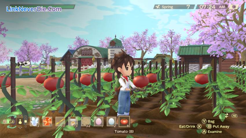 Hình ảnh trong game STORY OF SEASONS: A Wonderful Life (screenshot)