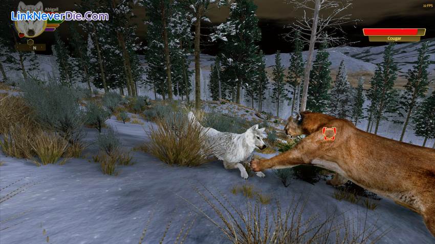 Hình ảnh trong game WolfQuest: Anniversary Edition (screenshot)