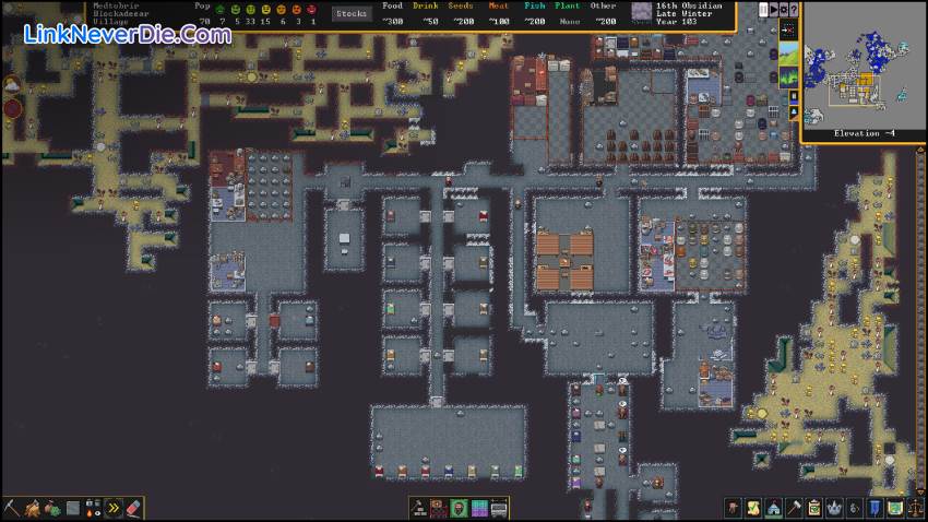 Hình ảnh trong game Dwarf Fortress (screenshot)