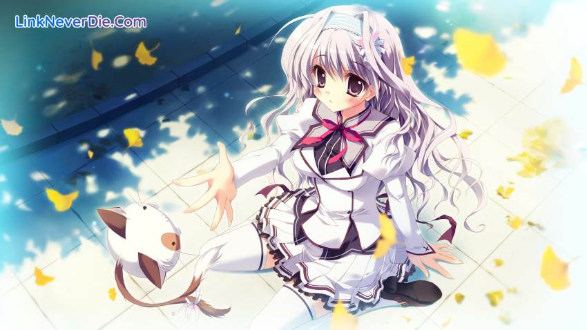 Hình ảnh trong game Mashiroiro Symphony HD -Love is Pure White- (screenshot)