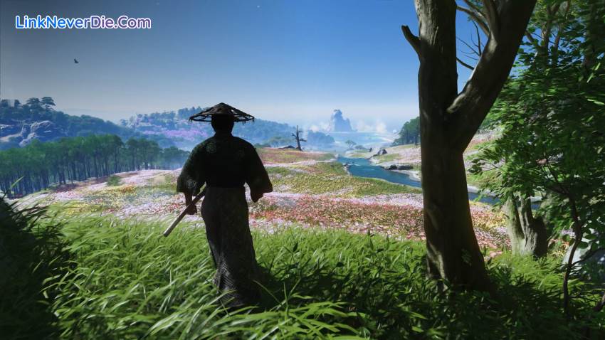 Hình ảnh trong game Ghost of Tsushima DIRECTOR'S CUT (screenshot)