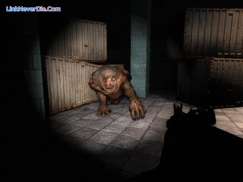 Hình ảnh trong game S.T.A.L.K.E.R.: Shadow of Chernobyl (screenshot)