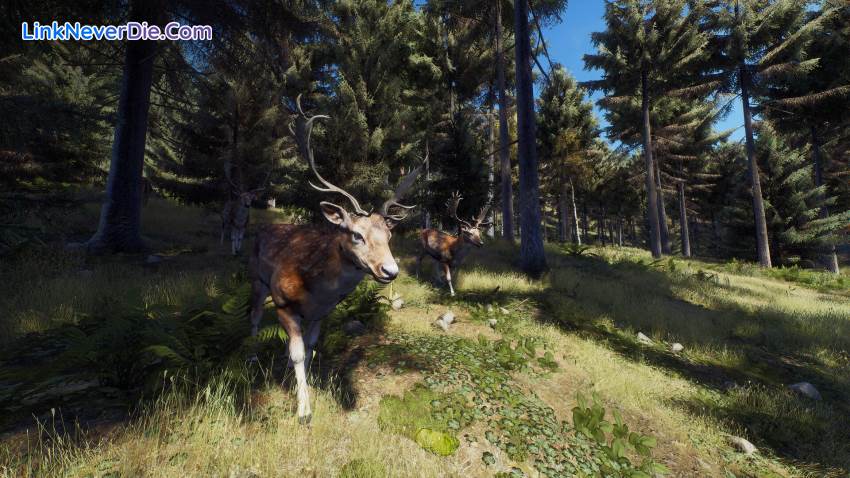 Hình ảnh trong game Way of the Hunter (screenshot)