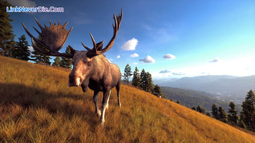 Hình ảnh trong game Way of the Hunter (screenshot)