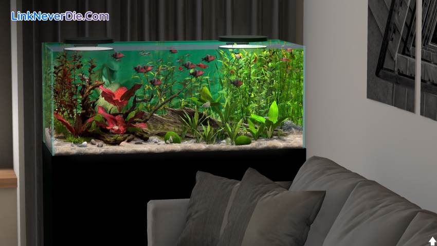 Hình ảnh trong game Behind Glass: Aquarium Simulator (screenshot)