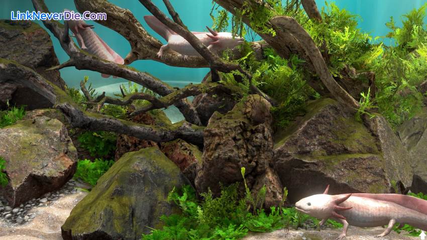 Hình ảnh trong game Behind Glass: Aquarium Simulator (screenshot)