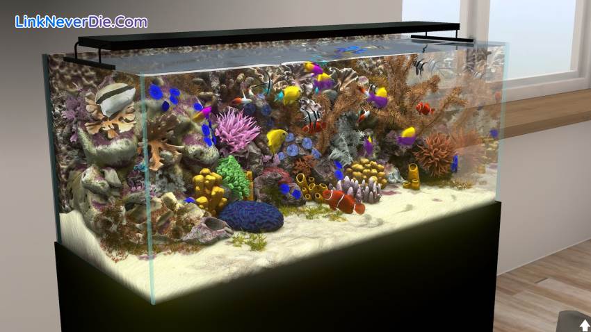 Hình ảnh trong game Behind Glass: Aquarium Simulator (screenshot)