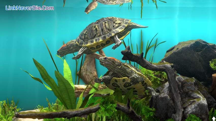 Hình ảnh trong game Behind Glass: Aquarium Simulator (screenshot)