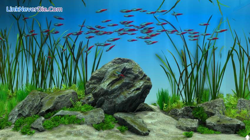 Hình ảnh trong game Behind Glass: Aquarium Simulator (screenshot)