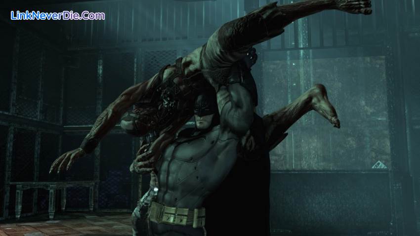 Hình ảnh trong game Batman: Arkham Asylum Game Of The Year Edition (screenshot)