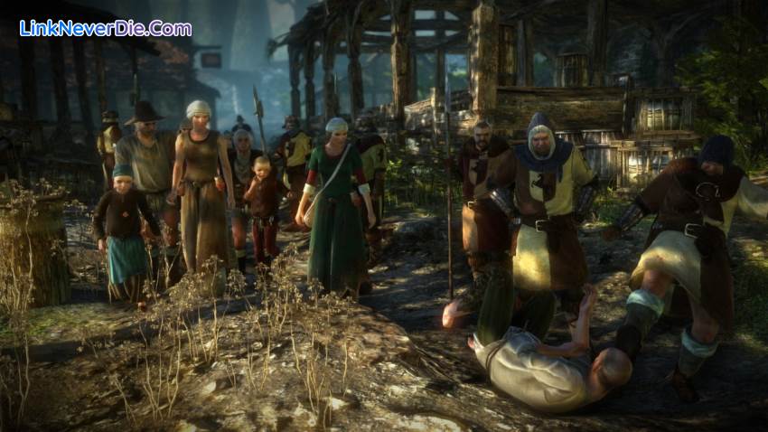 Hình ảnh trong game The Witcher 2: Assassins of Kings Enhanced Editon (screenshot)