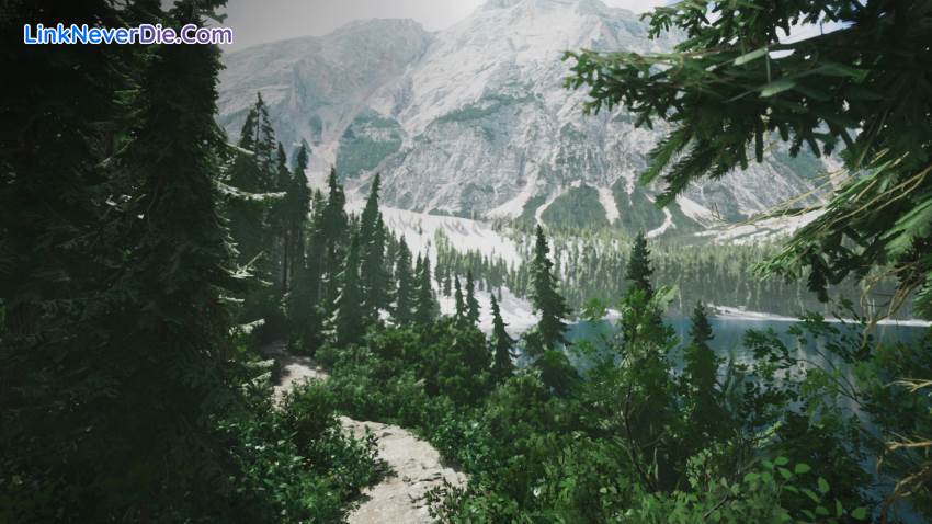 Hình ảnh trong game Lushfoil Photography Sim (screenshot)