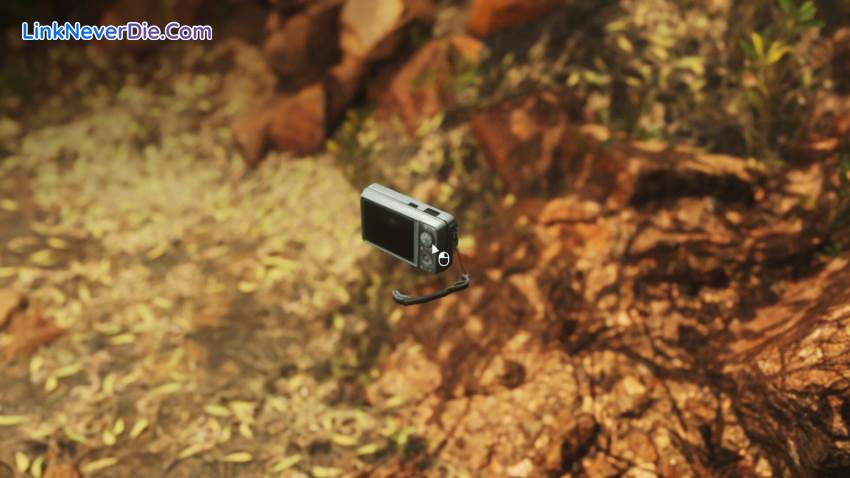 Hình ảnh trong game Lushfoil Photography Sim (screenshot)