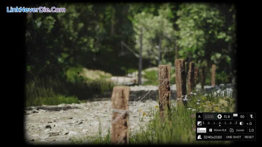 Hình ảnh trong game Lushfoil Photography Sim (screenshot)