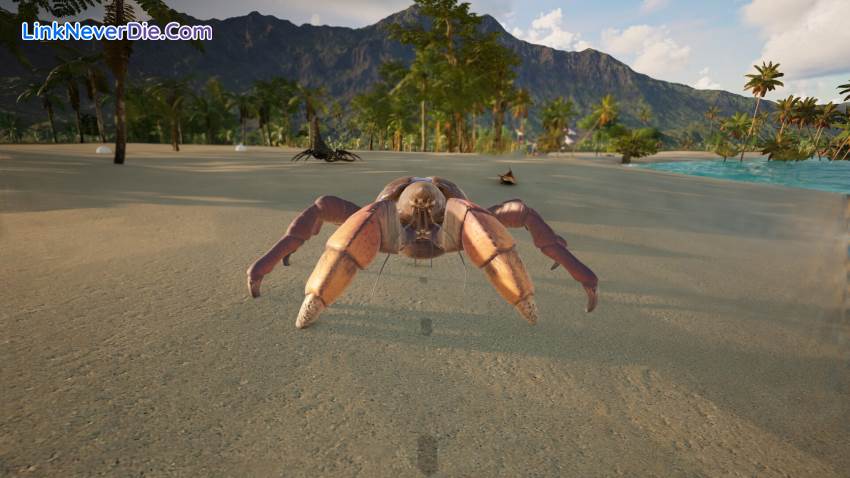 Hình ảnh trong game Dinosaur World (screenshot)