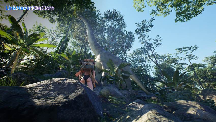 Hình ảnh trong game Dinosaur World (screenshot)