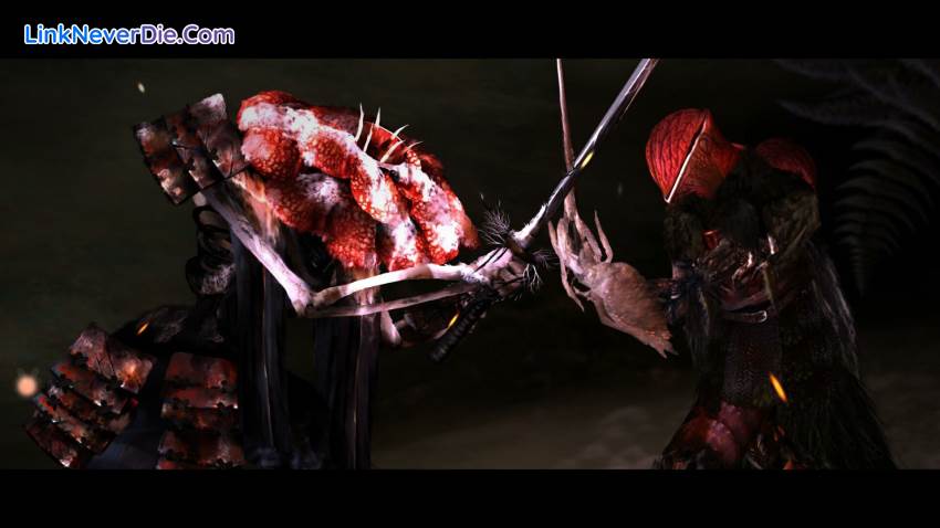 Hình ảnh trong game Perennial Order (screenshot)