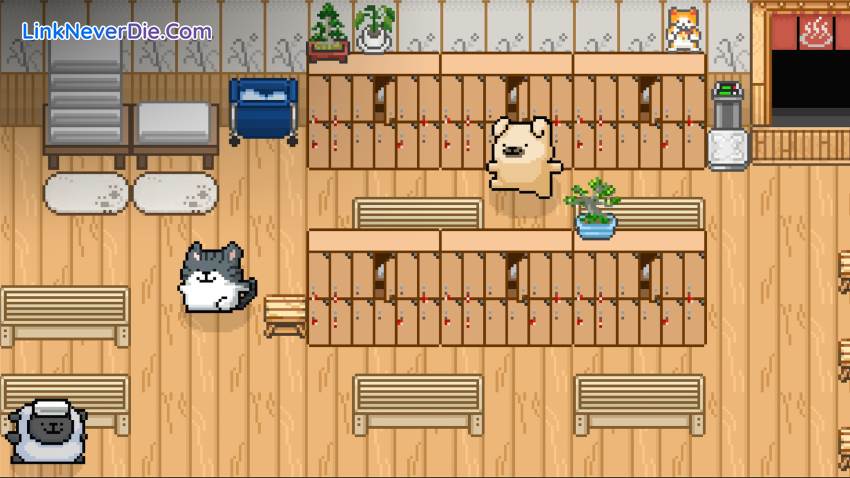 Hình ảnh trong game Maltese's Fluffy Onsen (screenshot)