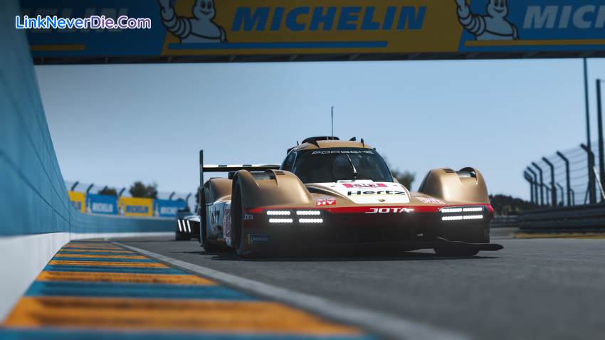 Hình ảnh trong game Le Mans Ultimate (screenshot)