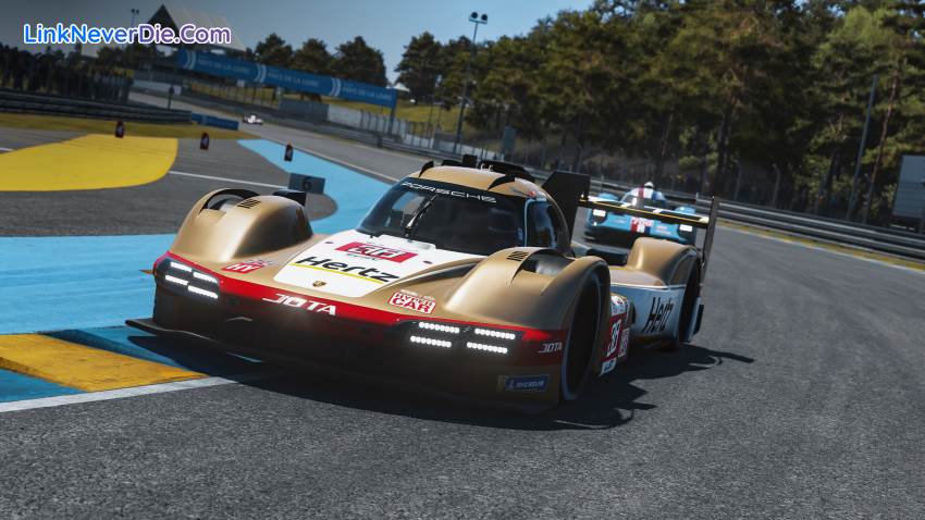 Hình ảnh trong game Le Mans Ultimate (screenshot)