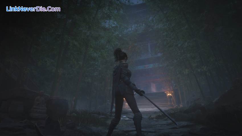 Hình ảnh trong game WUCHANG: Fallen Feathers (screenshot)