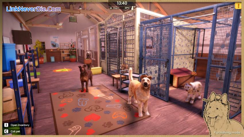 Hình ảnh trong game Animal Shelter 2 (screenshot)