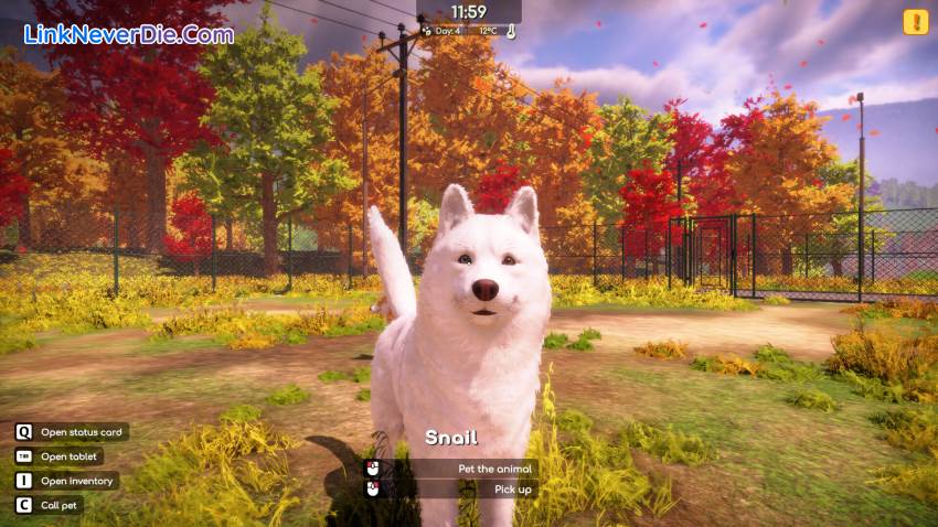 Hình ảnh trong game Animal Shelter 2 (screenshot)