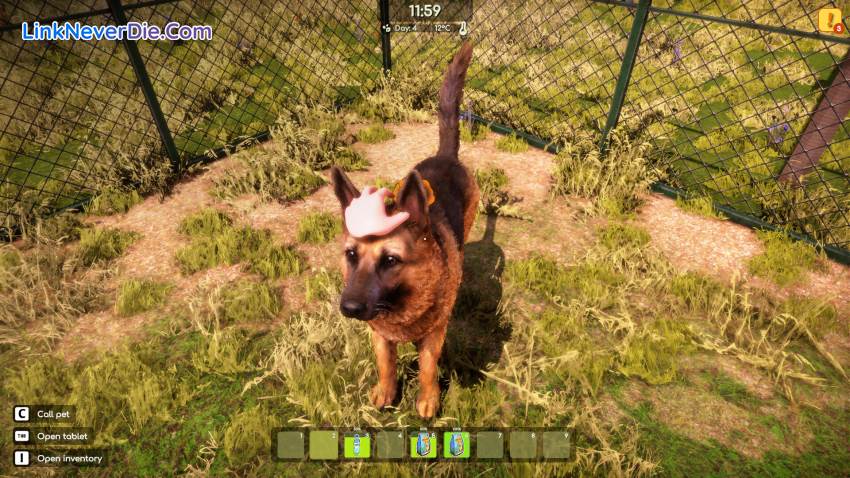 Hình ảnh trong game Animal Shelter 2 (screenshot)
