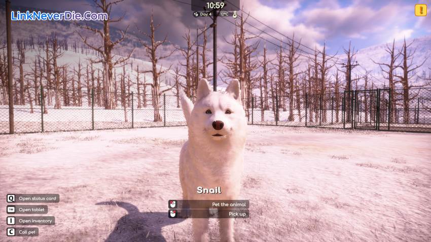 Hình ảnh trong game Animal Shelter 2 (screenshot)