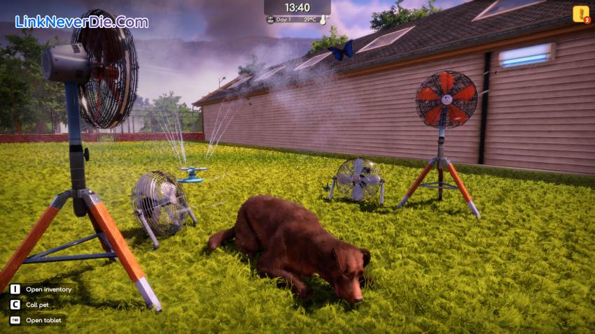 Hình ảnh trong game Animal Shelter 2 (screenshot)